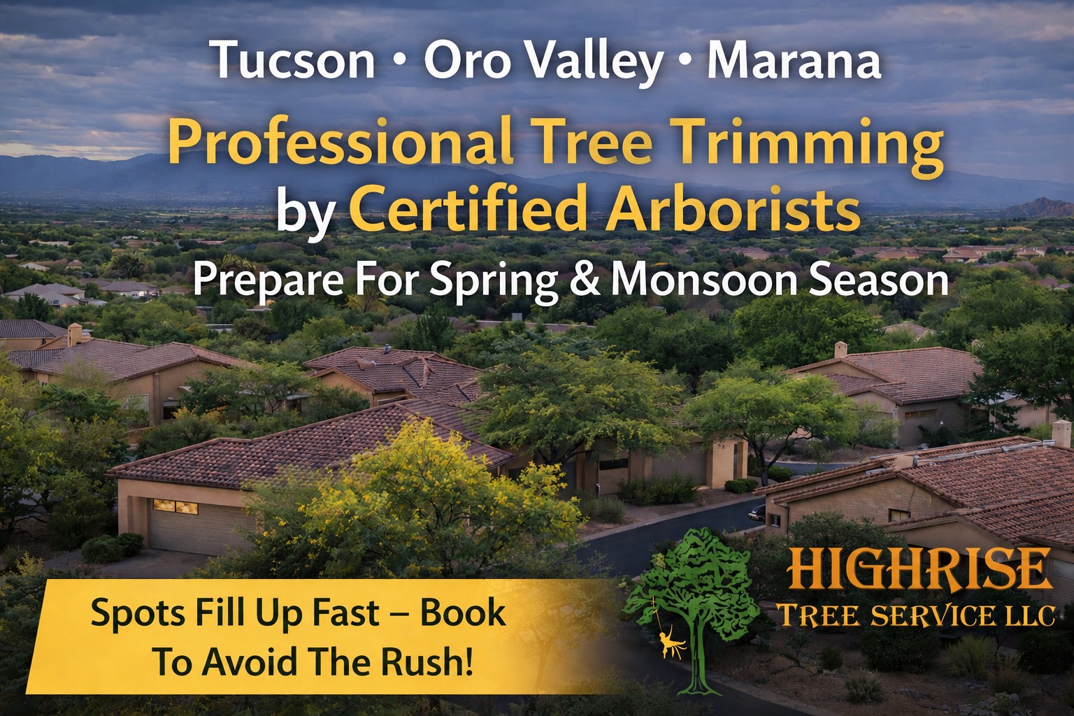 Professional Tree Trimming Service in Tucson, Oro Valley, Marana & Catalina Foothills