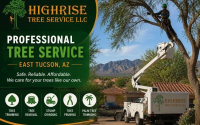 Professional Tree Service in East Tucson, AZ | Tree Trimming, Tree Removal & Stump Grinding