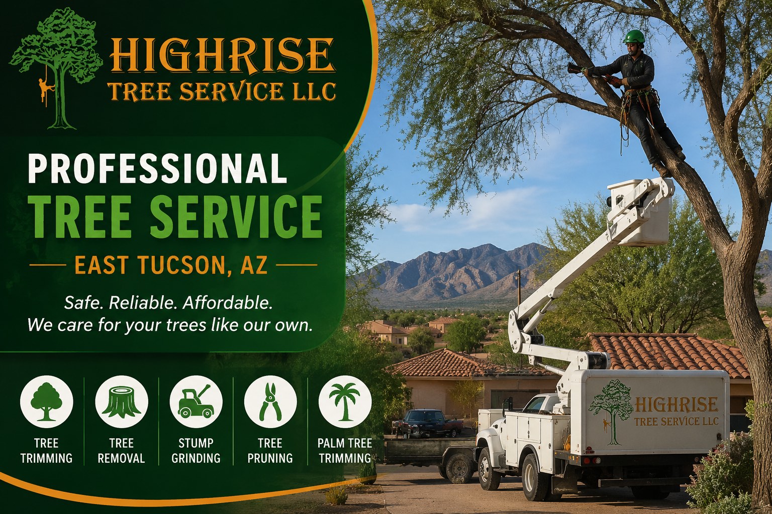 Blog Image, Professional Tree Service in East Tucson